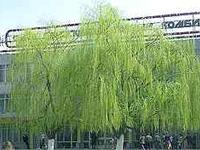 Брестская область